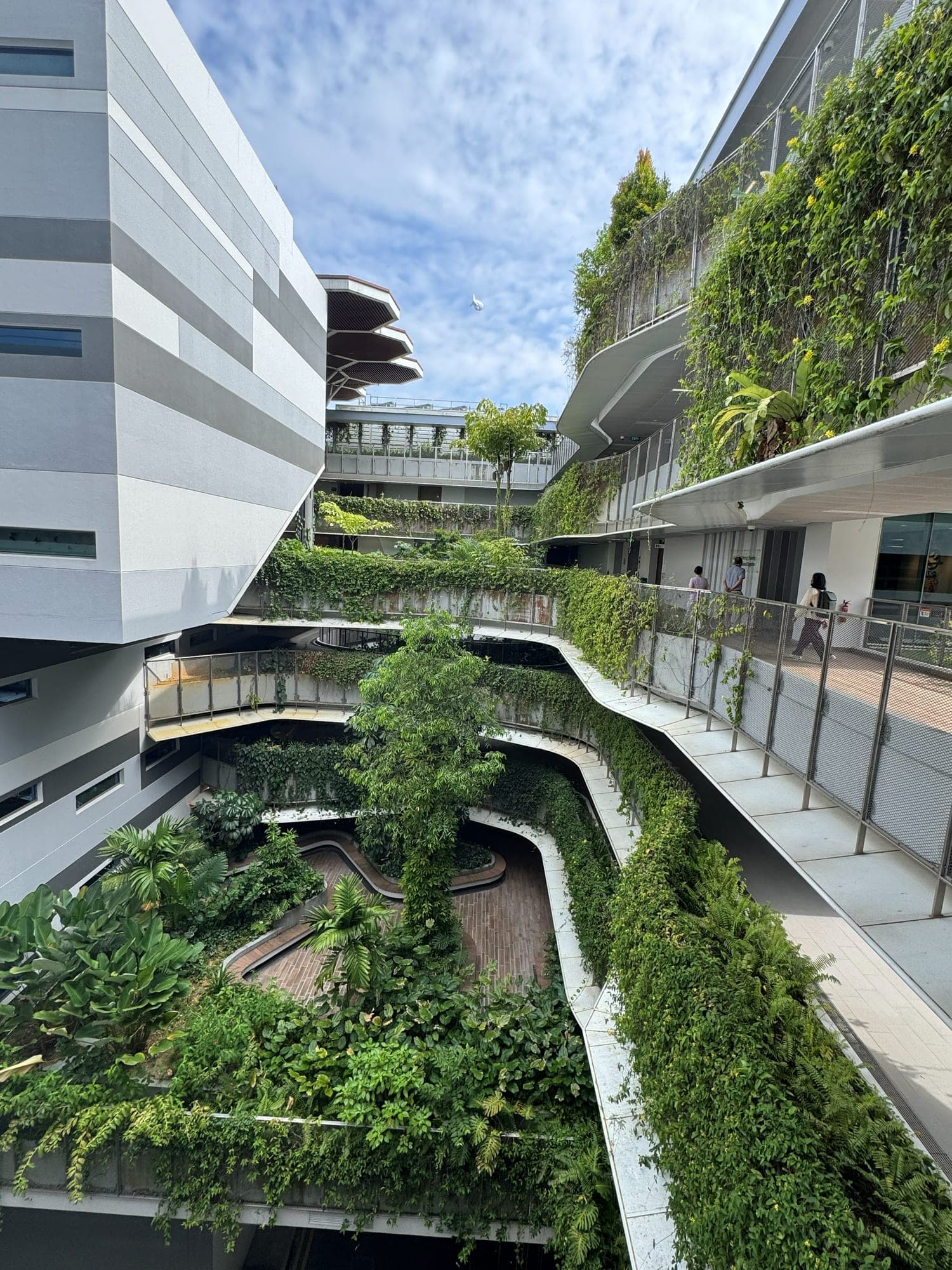 A multi-storey atrium with curving walkways overgrown with plants, between grey and white campus buildings
