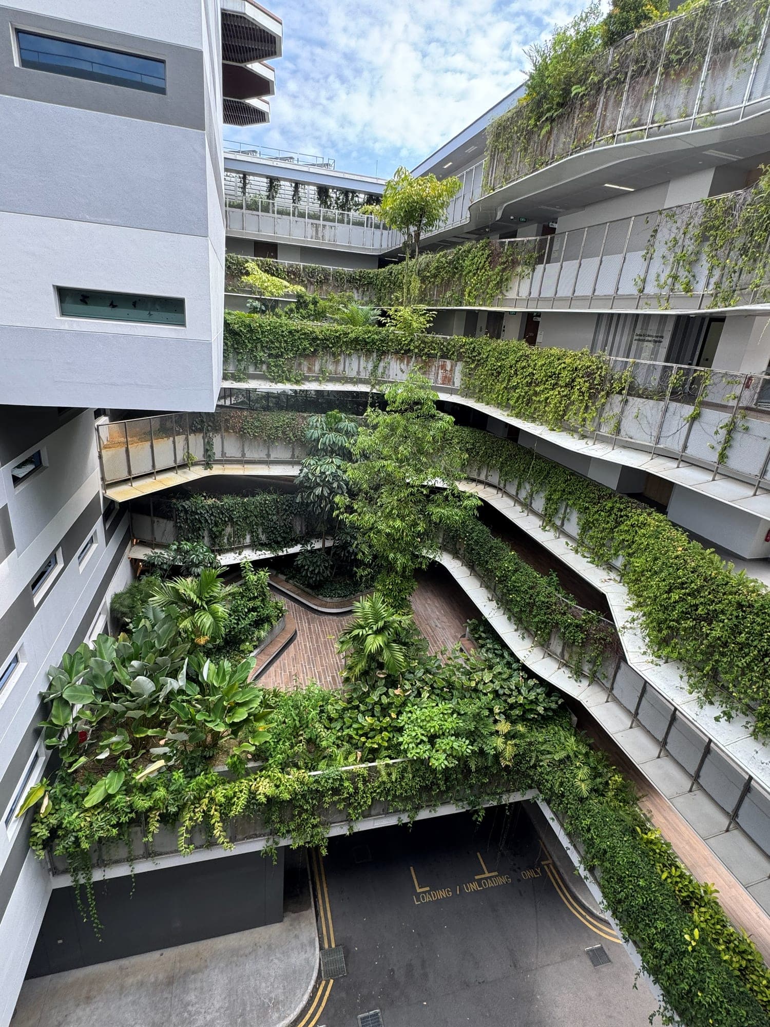 A courtyard of curved terraces overgrown with plants, between white campus buildings