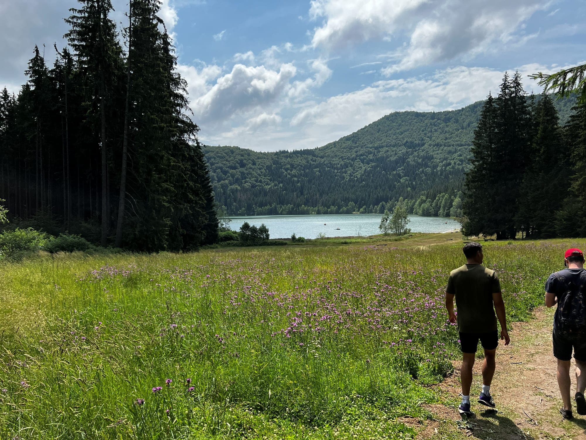 Two people walking along a path through a wildflower meadow towards Lake Saint Anne, a crater lake ringed by forested hills