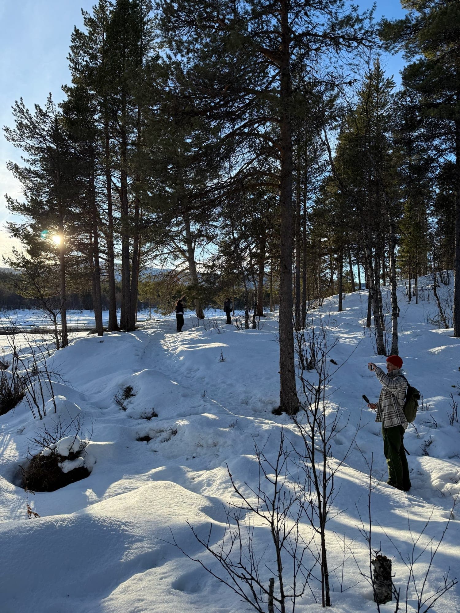 People walking along a snowy path through a pine forest in low winter sun, one of them in a red hat taking a photo