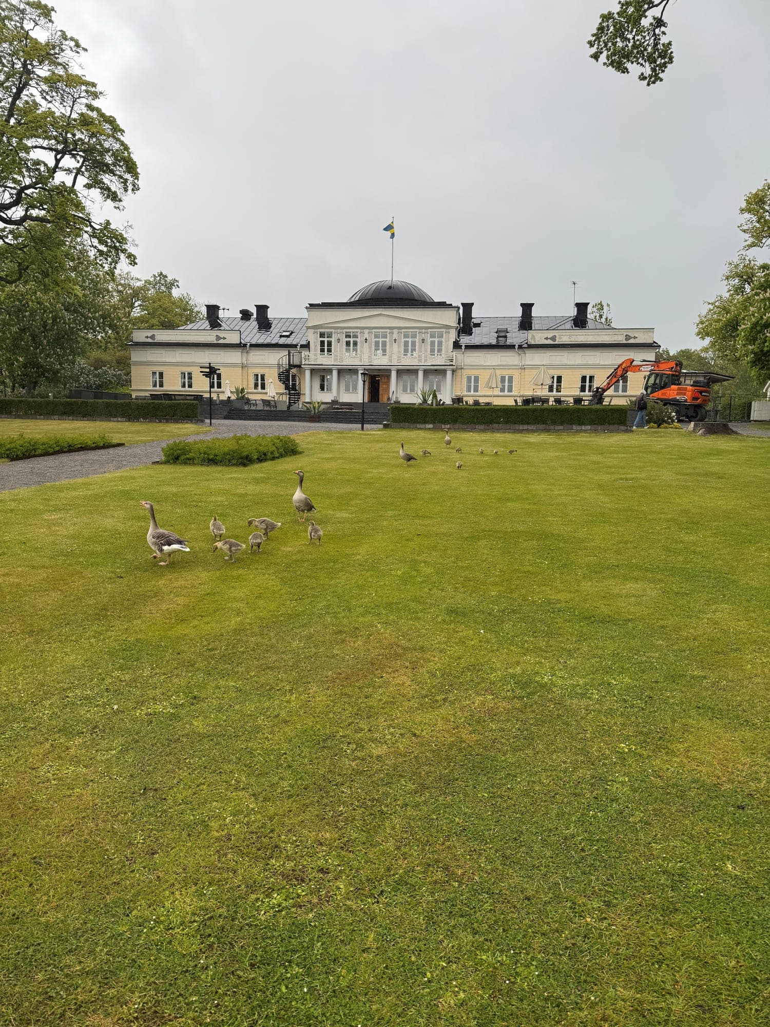 A pale yellow manor house behind a wide lawn with a family of geese in the foreground